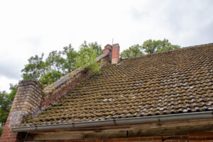 How Old Is An Uninsurable Roof?